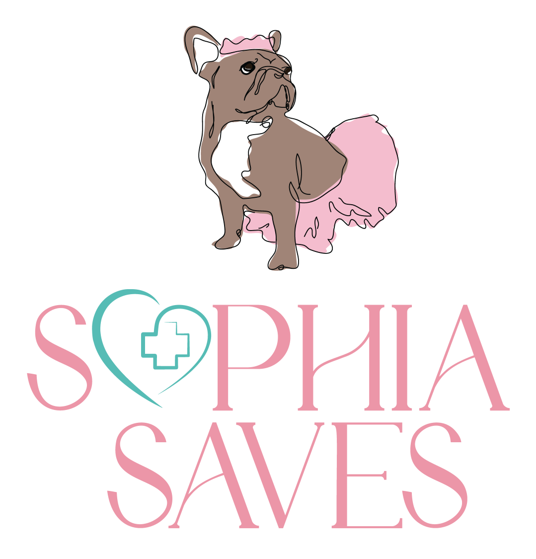 Sophia Saves